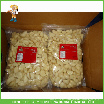 Bester Lieferant-Qualitäts-chinesischer frischer geschälte Knoblauch in 3LBS Beutel für Export